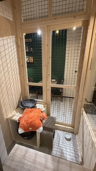 Pokój typu suite na parterze