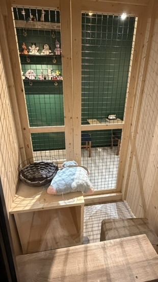 Pokój typu suite na parterze